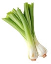 Scallion green onions or spring onions isolated on transparent background PNG