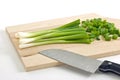 Scallions Royalty Free Stock Photo