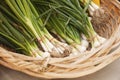 Scallions Royalty Free Stock Photo