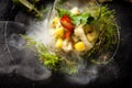 Scallop ceviche with mango, chilli and cilantro served with liquid ice smoke in a plate. Delicious healthy food closeup Royalty Free Stock Photo