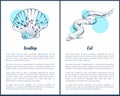 Scallop and Eel Hand Drawn Vector Illustrations Royalty Free Stock Photo