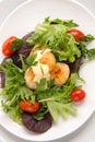 Scallop Salad With Saffron Dressing