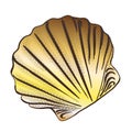 Scallop sea shell, sketch style. Realistic hand drawing of saltwater shell, clam, conch. Vector Royalty Free Stock Photo