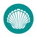 Scallop sea shell