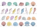 Scallop sea shells set. Sea shells, mollusks, scallop, pearls. Tropical underwater shells continuous one line