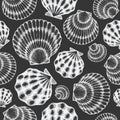 Scallop seamless pattern. Hand drawn vector seafood illustration on chalk board. Engraved style seashell. Retro mollusk background Royalty Free Stock Photo