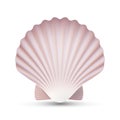 Scallop Seashell Vector. Ocean Mollusk Sea Shell Close Up. Isolated. Illustration