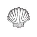 Scallop shell dotwork art