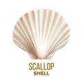 Scallop Shell Ocean Mollusk Protection Vector