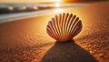 scallop shell on a sandy beach during golden hour Royalty Free Stock Photo