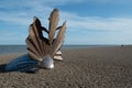 Scallop shell sculpture