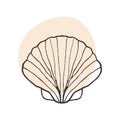 Scallop shell from the seabed. Sketch drawing in tattoo style, black and white illustration of a scallop shell. Fish shop logo,