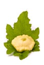 Scallop squash and green leaves Royalty Free Stock Photo