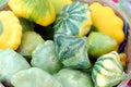 Scalloped Squash Pattypan