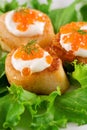 Scallops Royalty Free Stock Photo