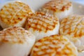 Scallops