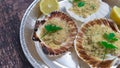 scallops au gratin cooked in the oven with parsley and lemon