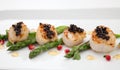 Scallops and Black Caviar Royalty Free Stock Photo