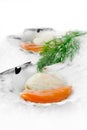 Scallops On Ice Royalty Free Stock Photo