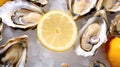 scallops shellfish seafood food oysters