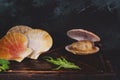 Scallops in shells lie on the board, healthy food, wholesome food