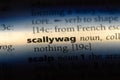 scallywag Royalty Free Stock Photo