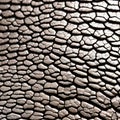 A scaly and bumpy texture with alligator skin and reptile scales4, Generative AI