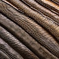 A scaly and bumpy texture with reptile skin and crocodile scales3, Generative AI