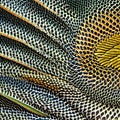 A scaly and prickly texture with hedgehog spines and iguana skin4, Generative AI