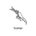 scampi icon. Element of marine life for mobile concept and web apps. Thin line scampi icon can be used for web and mobile. Premium