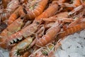 Scampi or Nephrops norvegicus on ice in fish shop. Royalty Free Stock Photo