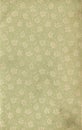Scan the flyleaf of an old book, green-gray-brown, with dense and intricate floral pattern.