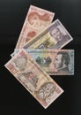 Scanarray four banknotes of 1, 2, 5 and 10 Lempira Royalty Free Stock Photo