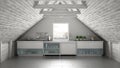 Scandinavia industrial kitchen, loft mezzanine, roof architecture white interior design