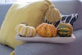 Scandinavian autumn inspired home decor - closeup of wooden tray with pumpkins, cozy Living room, Sofa Cushion Knitted plaid, traw