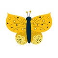 Scandinavian butterfly isolated. Insect with yellow wings and flowers.Flat vector illustration. Butterfly for kids Royalty Free Stock Photo