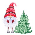 Scandinavian Christmas Gnome with green yule tree.