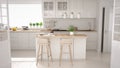Scandinavian classic kitchen with wooden and white details, mini