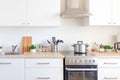 Scandinavian classic minimalistic kitchen with white and wooden details. Modern white kitchen clean contemporary style interior Royalty Free Stock Photo