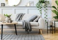 Scandinavian concept of living room interior with design sofa, coffee table, plant in pot, flowers, carpet, plaid, pillow, shelf.