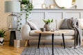 Scandinavian concept of living room interior with design sofa, coffee table, plant in pot, lamp, carpet, plaid, pillow, shelf.