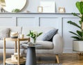 Scandinavian concept of living room interior with design sofa, coffee table, plant in pot, lamp, carpet, plaid, pillow, shelf.