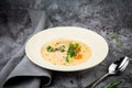 Scandinavian fish soup with herbs on a white plate side view Royalty Free Stock Photo