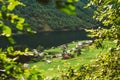 Scandinavian houses on shore of the narrowest Royalty Free Stock Photo