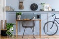 Scandinavian interior design of home office space with wooden desk, modern chair, wood paneling with shelf, plant, carpet, bicycle Royalty Free Stock Photo