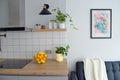Scandinavian interior style modern studio small apartment in white and grey colors Royalty Free Stock Photo