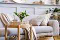 Scandinavian living room interior with design grey sofa, wooden coffee table, plants, shelf, spring flowers in vase, decoration. Royalty Free Stock Photo