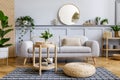 Scandinavian living room interior with design grey sofa, wooden coffee table, tropical plants, shelf, mirror, furniture, plaid. Royalty Free Stock Photo