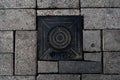 Scandinavian manhole in its urban surrounding.