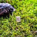 Scandinavian rune Dagaz, denoting a gift, on wet moss.